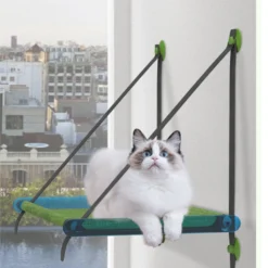 Kat Bed Luxe Zuignap Hangmat Nest Opknoping Kat Bed Raam Klimmuur Vensterbank Muur Wandmeubel Hangmat Katten Bed Huisdier