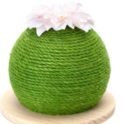 Nobleza 40VQV – Krabbol – D23 X H23 CM – Groen