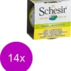 Schesir Kat Bouillon 70 G – Kattenvoer – 14 X Tonijn&Ansjovis Blik