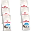 Royal Canin Indoor Long Hair – Kattenvoer – 6 X 400 G