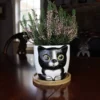 Window Garden Cat Plant Large Kitty Pot Voor Kamerplanten, Vetplanten, Bloemen En Kruiden-schattige Plantenbakken, Geweldig Cadeau Voor Kattenliefhebbers Voor Kerstmis (Sebby)