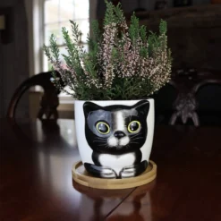 Window Garden Cat Plant Large Kitty Pot Voor Kamerplanten, Vetplanten, Bloemen En Kruiden-schattige Plantenbakken, Geweldig Cadeau Voor Kattenliefhebbers Voor Kerstmis (Sebby)