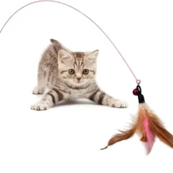 Speelhengel Kat – Kattenhengel – Belletje – Veren – Hengel Voor Kat – Kattenspeeltje