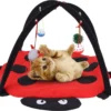 Kat Bed, Kat Tent, Opvouwbare Tent, Speelgoed, Interactieve Kat Speelgoed, Wasbaar, Kat Kussens, Kat Kussens, Bed Met Opknoping Speelgoed, Klokken En Muizen, 60 X 60 X 34 Cm