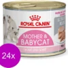 Royal Canin Fhn Babycat Instinctive – Kattenvoer – 24 X 195 G