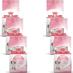 Royal Canin Fhn Kitten – Kattenvoer – 6 X 2 Kg
