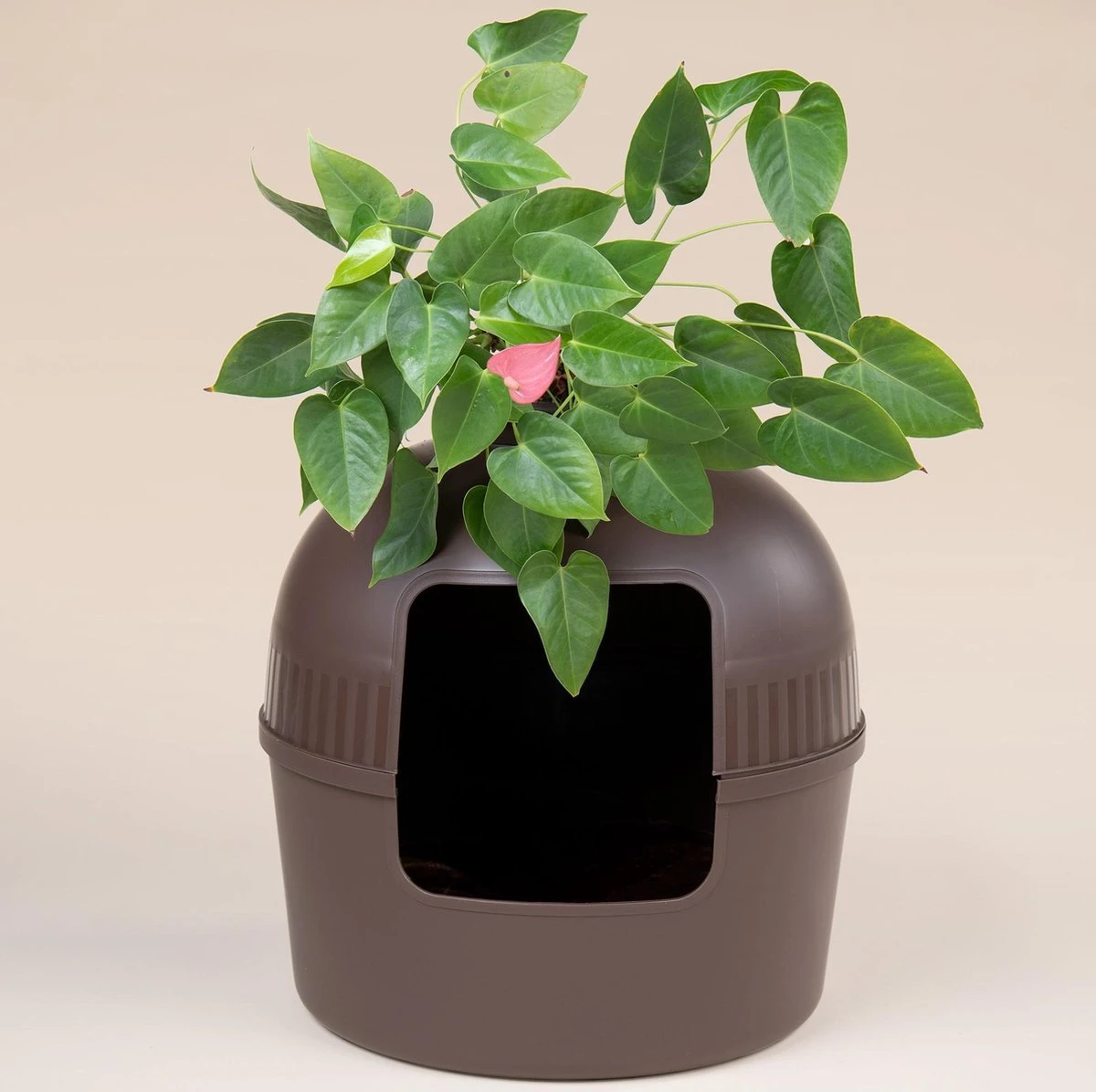 XXL Kattenbak – Verborgen Kattentoilet – Flower XXL Bruin Voor Grote Katten Van RHRQuality