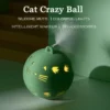Elektrische Speel Bal Voor Katten – Crazy Cat Ball Speelgoed – Interactieve Stuiterbal – USB Oplaadbaar – Met Veertjes En Touwtjes – Zelf Bewegend
