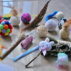 Leer Je Kitten Kennen Speelgoed Pakket – 17 Delig Kitten Speelgoed Pakket – Kitten Speelgoed – Katten Speelgoed Set