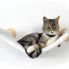 Kattenhangmat Voor Wandmontage, Eco Kattenbed, Kattenhangmat Voor Aan De Muur, Voor Het Verlengen Van Een Klimmuur, Kattentrap, Wandbed, Wandligstoel, Kattenligstoel, Klimlandschap, Slaapplaatsen Voor Katten