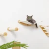 Klimmuur Kat XXL Editie – Krabpaal – Katten Klimmuur – Katten Klim Wand – Met Hangmat