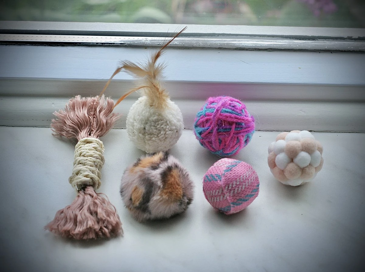 Leer Je Kat Kennen β 6 Delig Speelgoed Pakket β Katten Speelgoed Pakket β Katten Speelgoed β Katten Speelgoed Set