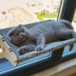 Houten Hangmat Voor Katten, 61 X 29 Cm, Raamzitplaats, Slaap-/zonneplek, Raamligstoel, Krachtige Zuignappen Tot 15 Kg, Veilig En Robuust