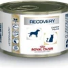 Royal Canin Recovery Feline/Canine – Kattenvoer – 12 X 195 G