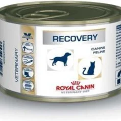 Royal Canin Recovery Feline/Canine – Kattenvoer – 12 X 195 G