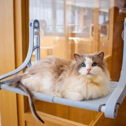 Kat Bed Luxe Zuignap Hangmat Nest Opknoping Kat Bed Raam Klimmuur Vensterbank Muur Wandmeubel Hangmat Katten Bed Huisdier Dierbenodigdheden