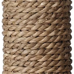 EBI Reserve Stam Voor Curacao En Grenada – Waterhyacint – M10 – 9x25cm