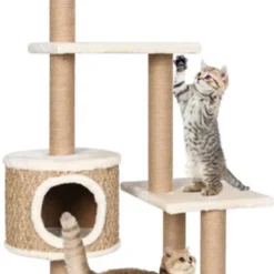 VidaXL Kattenmeubel Met Krabpalen 123 Cm Zeegras