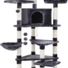 Katteboom Krabpaal Met Verschillende Niveaus