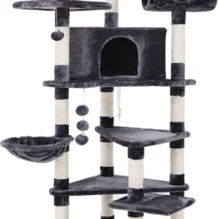 Katteboom Krabpaal Met Verschillende Niveaus