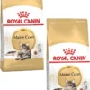 Royal Canin Fbn Mainecoon Adult – Kattenvoer – 2 X 10 Kg