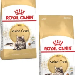 Royal Canin Fbn Mainecoon Adult – Kattenvoer – 2 X 10 Kg