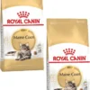 Royal Canin Fbn Mainecoon Adult – Kattenvoer – 2 X 4 Kg
