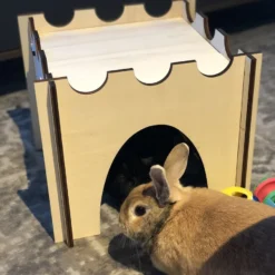 Konijnenhok | Speelhuisje | Speelgoed Voor Dieren |Konijn | Kat | Kasteel | 36cm X 36cm X 30cm