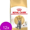Royal Canin Fbn British Shorthair – Kattenvoer – 12 X 400 G